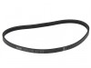 ALM Manufacturing FL267 Poly V Belt to Suit Flymo