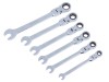 BlueSpot Tools Flexible Head Ratchet Set, 6 Piece