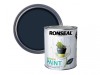 Ronseal Garden Paint Black Bird 750ml