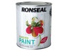 Ronseal Garden Paint Moroccan Red 750ml