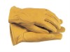 Town & Country TGL105M Premium Leather Gloves Ladies\