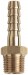 1\" BSPT MALE X 1\" ID HOSE BRASS